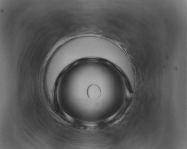 X0000086270056200704051320