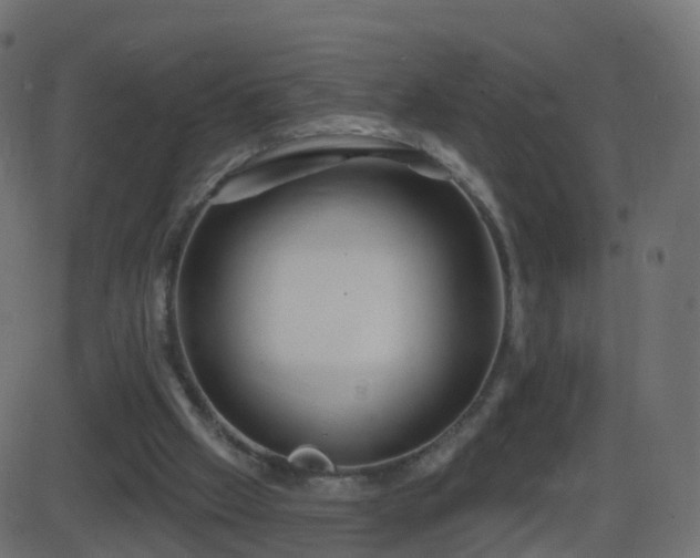 X0000086270057200704051320