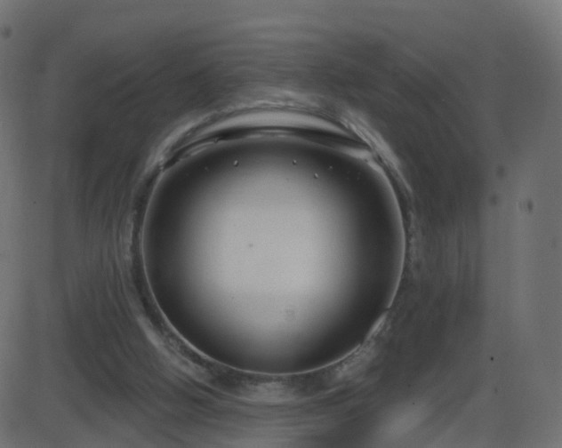 X0000086270058200704051320