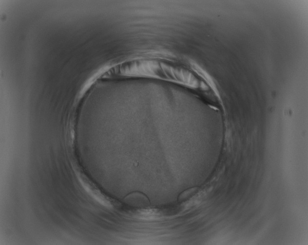 X0000086270059200704051320