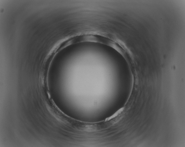 X0000086270060200704051320