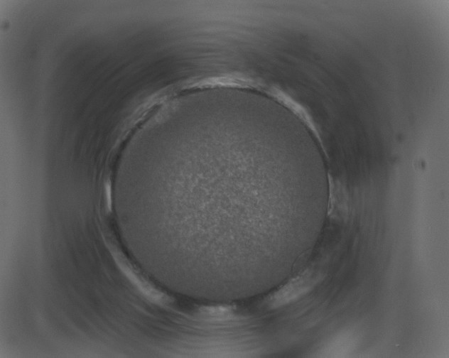 X0000086270061200704051320