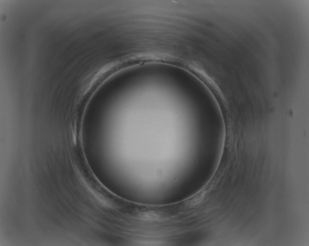 X0000086270062200704051320