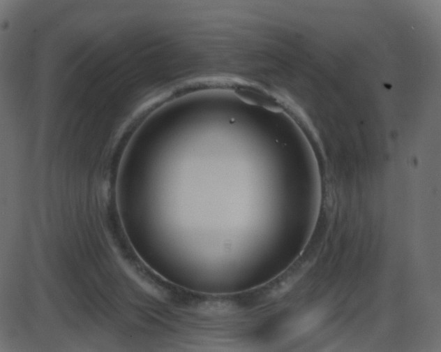 X0000086270063200704051320