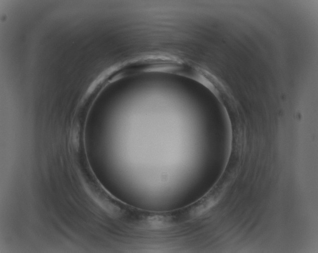 X0000086270064200704051320