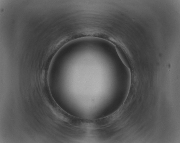 X0000086270066200704051320