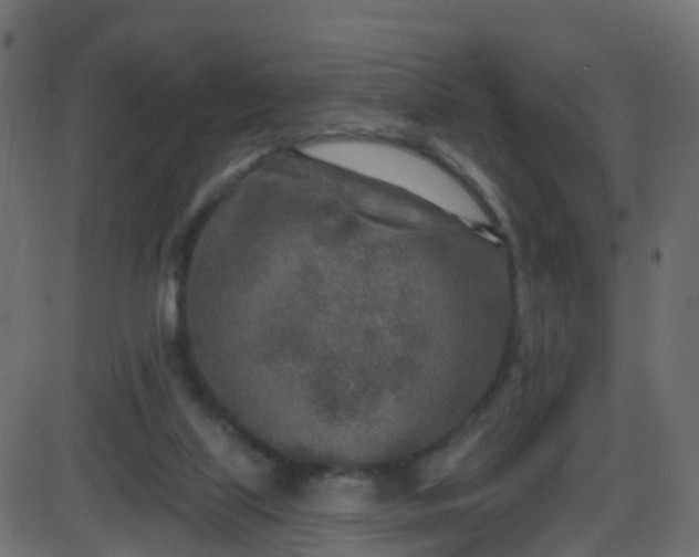 X0000086270067200704051320