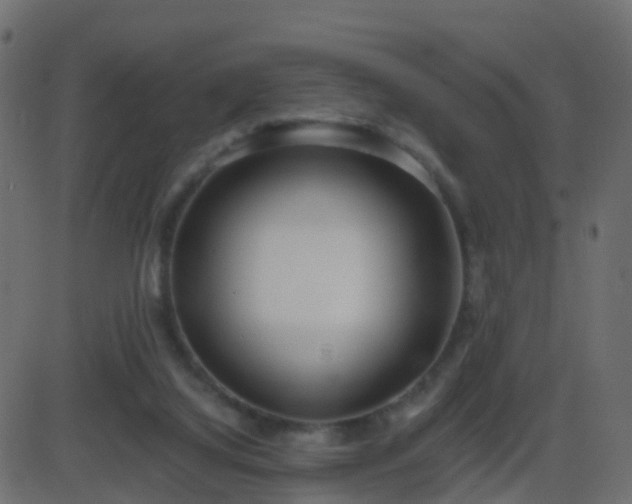 X0000086270068200704051320