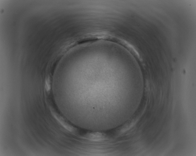 X0000086270069200704051320