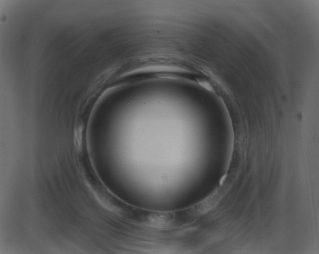 X0000086270070200704051320