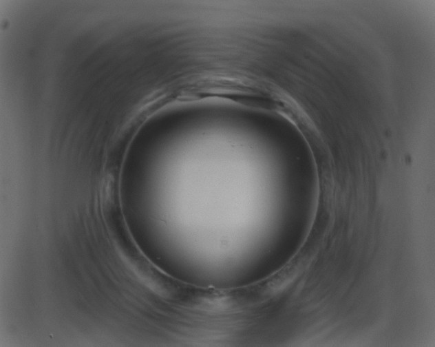 X0000086270071200704051320