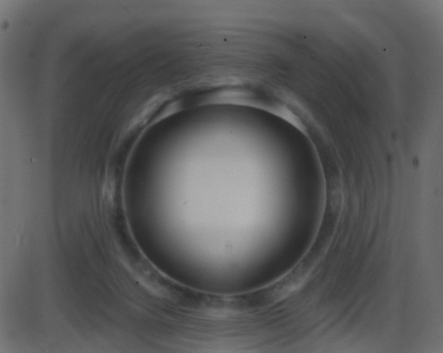 X0000086270072200704051320