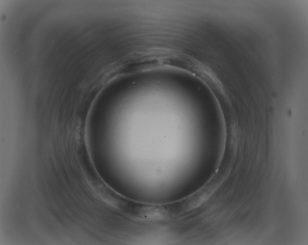 X0000086270073200704051320