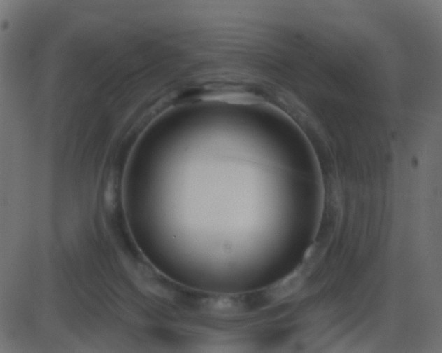 X0000086270074200704051320