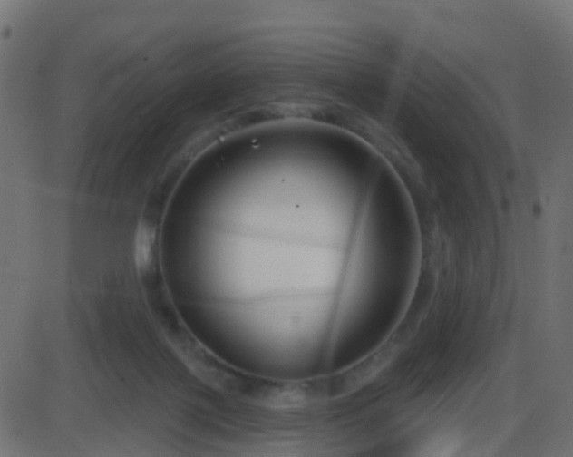 X0000086270075200704051320