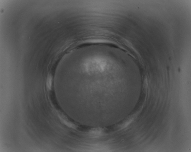 X0000086270076200704051320