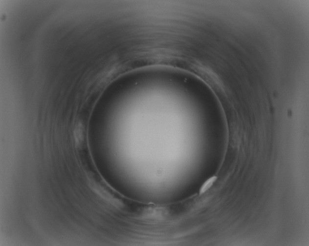 X0000086270077200704051320