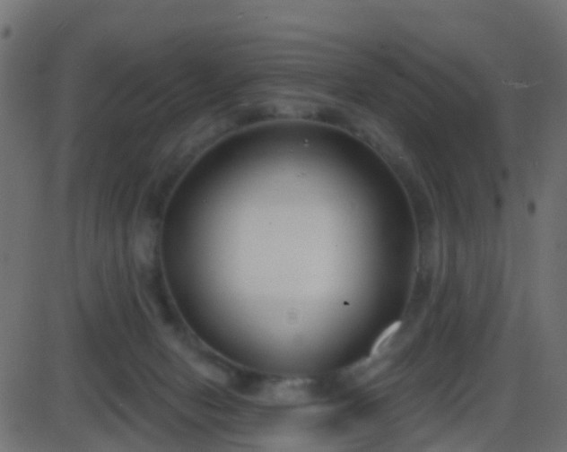 X0000086270078200704051320