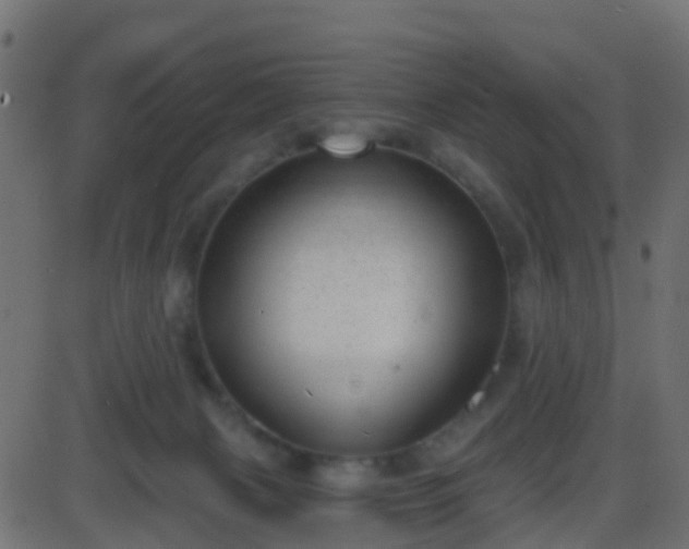 X0000086270079200704051320