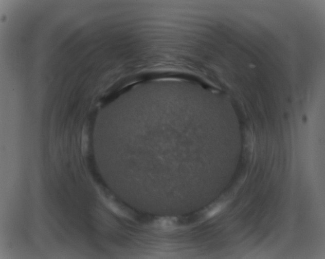 X0000086270080200704051320