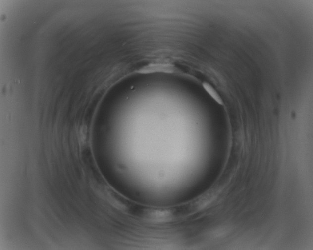 X0000086270081200704051320