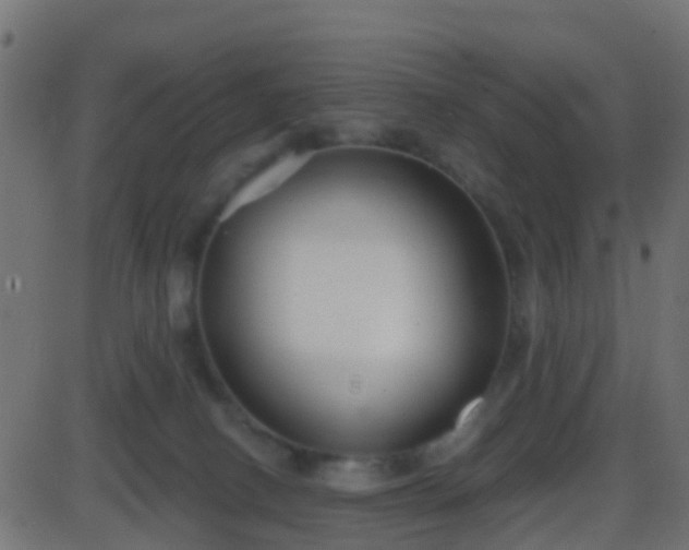 X0000086270082200704051320