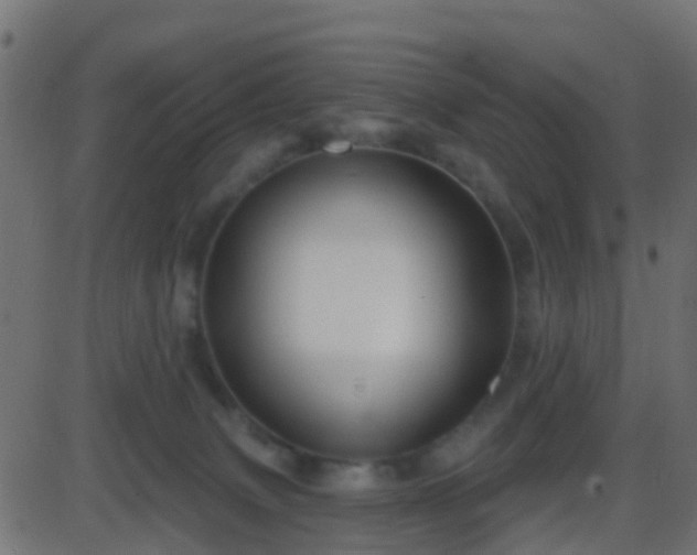 X0000086270083200704051320