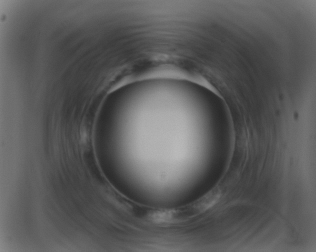 X0000086270084200704051320