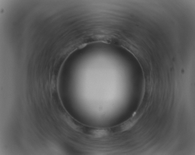 X0000086270085200704051320