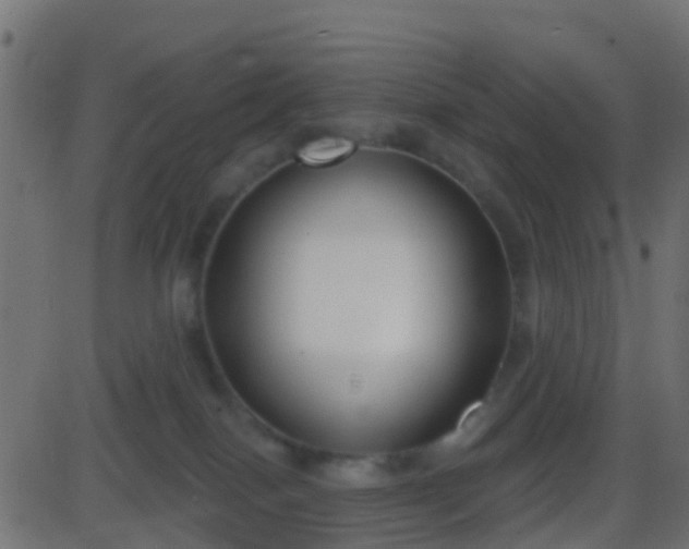 X0000086270086200704051320