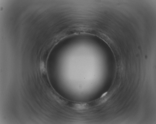 X0000086270089200704051320