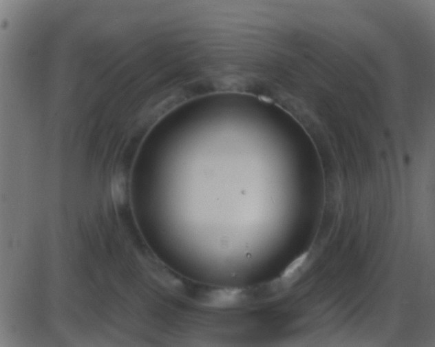 X0000086270090200704051320