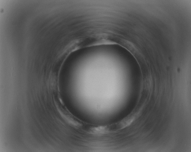 X0000086270092200704051320