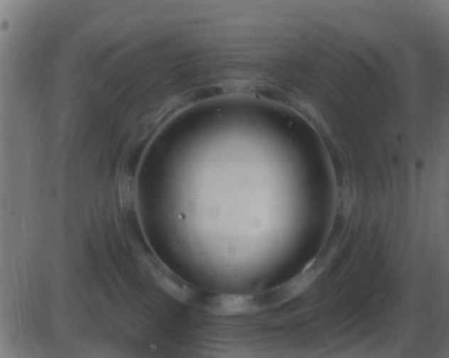 X0000086270093200704051320