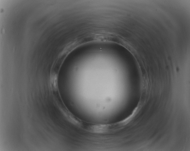 X0000086270094200704051320