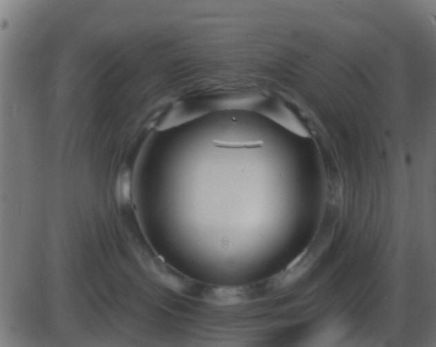 X0000086270095200704051320