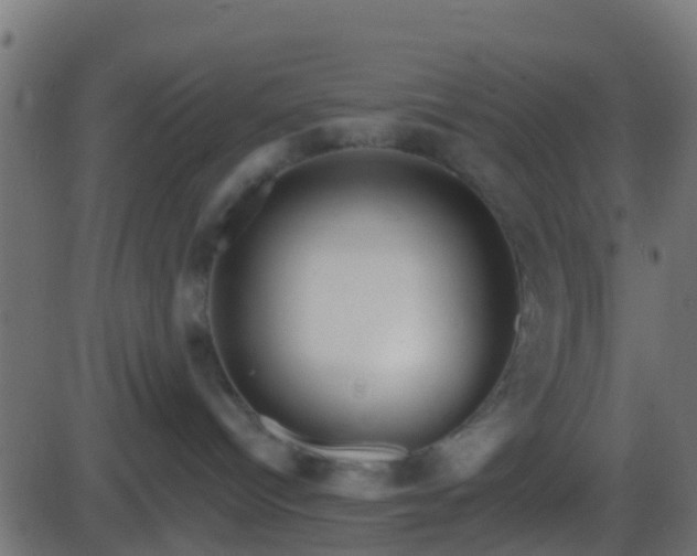 X0000086270096200704051320