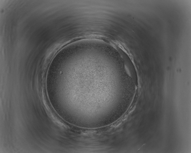 X0000086270097200704051320