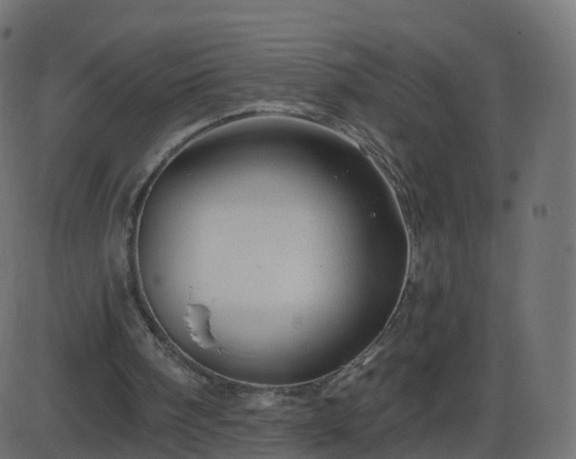 X0000086270098200704051319