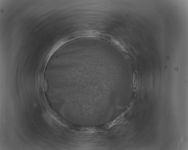 X0000086270099200704051319