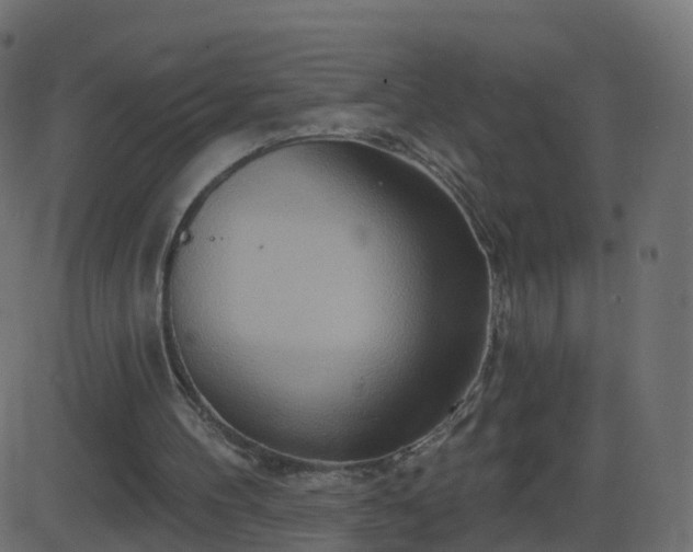 X0000086270100200704051319