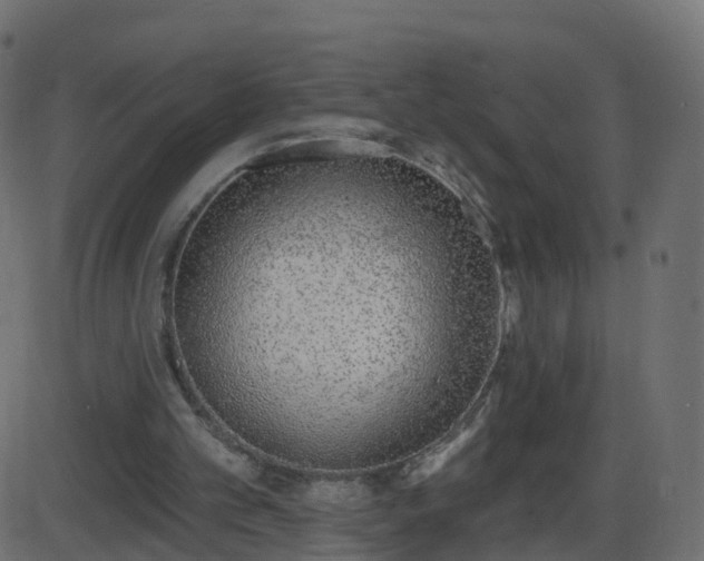 X0000086270101200704051319