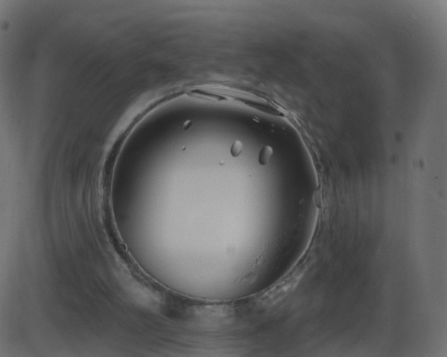 X0000086270102200704051319