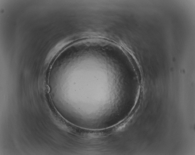 X0000086270103200704051319