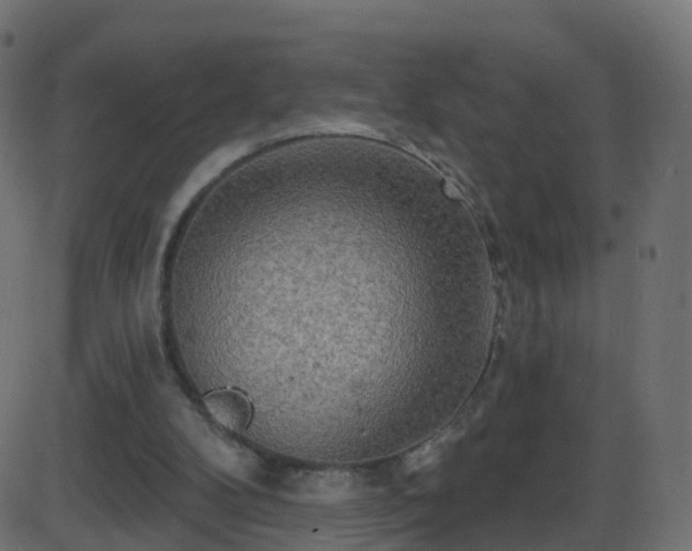 X0000086270104200704051319