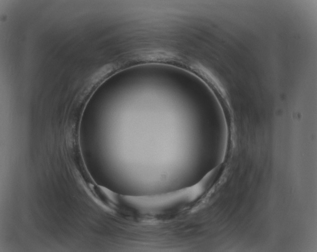 X0000086270105200704051319