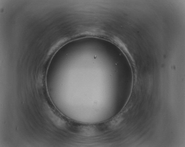 X0000086270106200704051319