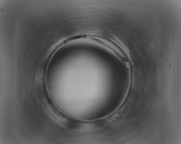 X0000086270107200704051319