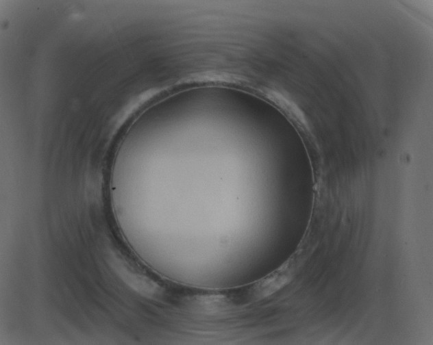 X0000086270108200704051319