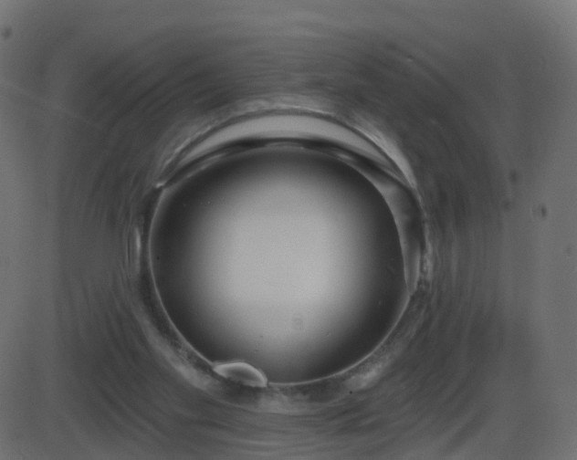 X0000086270109200704051319